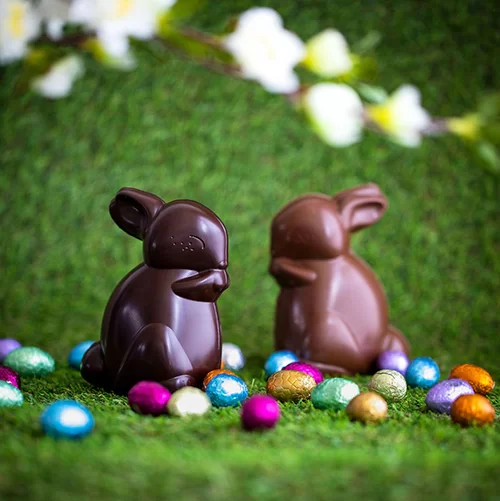 lapin en chocolat diy 