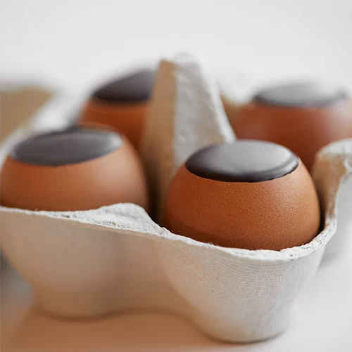 oeufs coquilles chocolat pâques