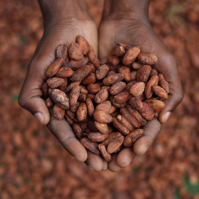 Chocolat Noir Tanzanie